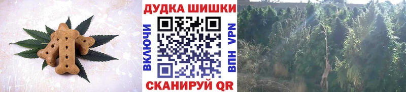 МЕГА зеркало Нововоронеж Еда ТГК марихуана
